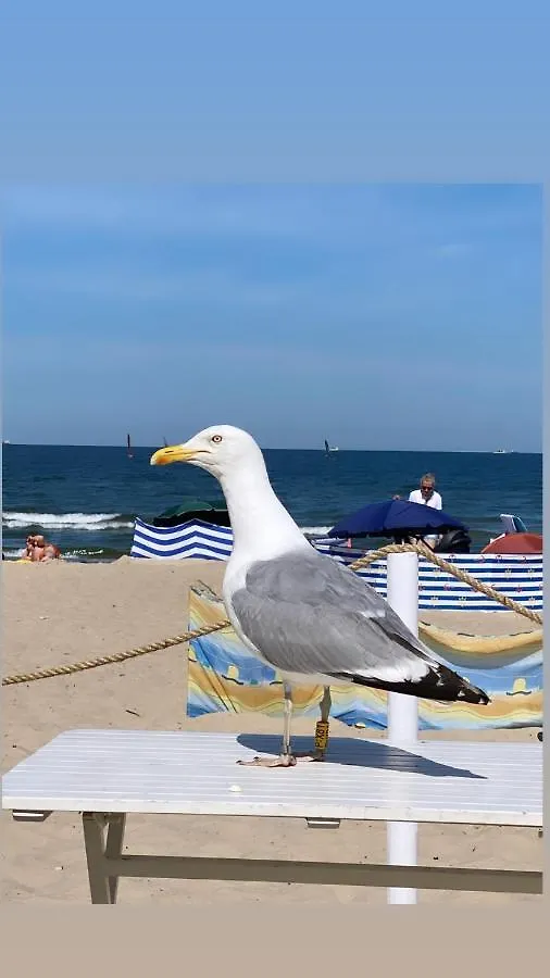 Luxury Gold Apartment Sopot 300M From The Beach